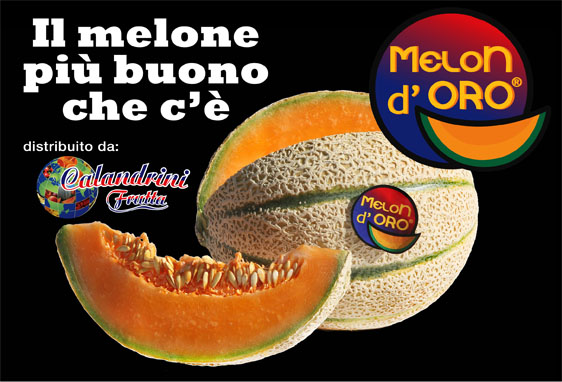 Melon d'oro distribuito daCalandrini Frutta Rimini 